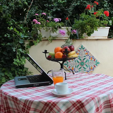 Catarin Comfort 3*