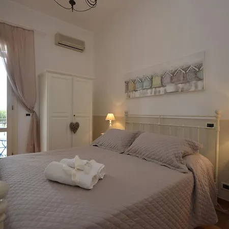 Catarin Comfort Castelluzzo