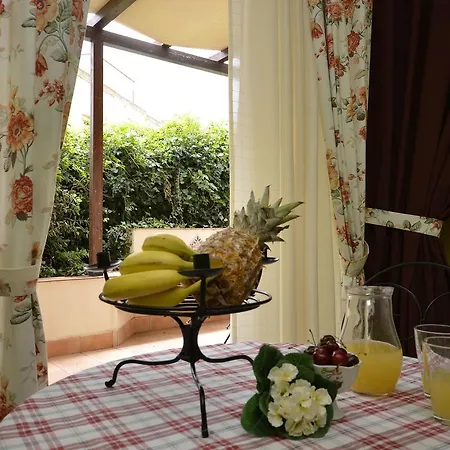 Catarin Comfort 3*